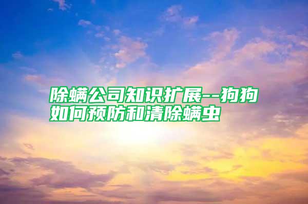 除螨公司知識(shí)擴(kuò)展--狗狗如何預(yù)防和清除螨蟲