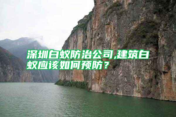深圳白蟻防治公司,建筑白蟻應該如何預防？