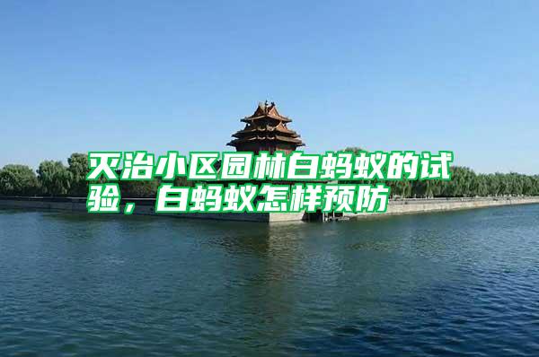 滅治小區(qū)園林白螞蟻的試驗(yàn)，白螞蟻怎樣預(yù)防