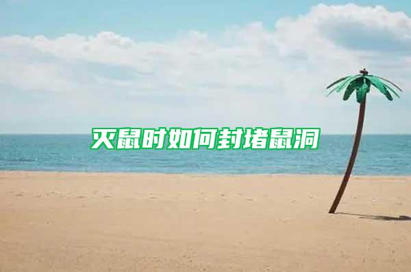 滅鼠時(shí)如何封堵鼠洞
