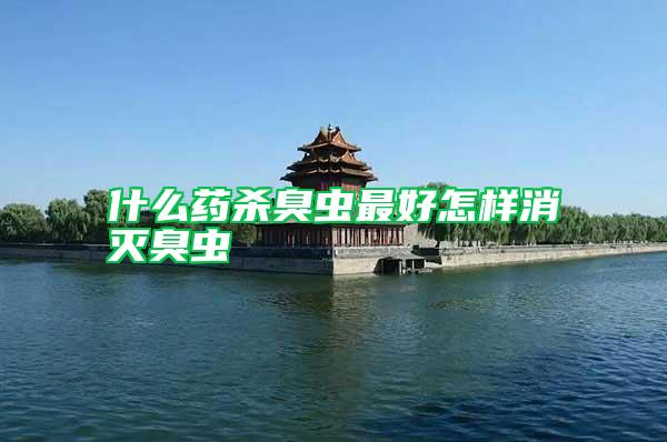 什么藥殺臭蟲(chóng)最好怎樣消滅臭蟲(chóng)