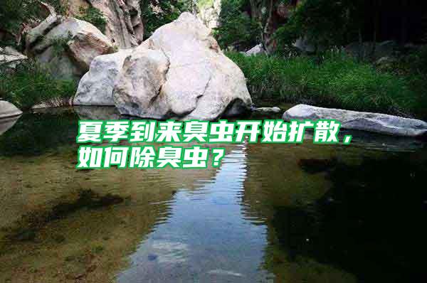 夏季到來臭蟲開始擴(kuò)散，如何除臭蟲？