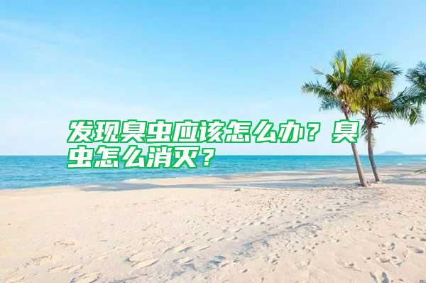 發(fā)現(xiàn)臭蟲應(yīng)該怎么辦？臭蟲怎么消滅？