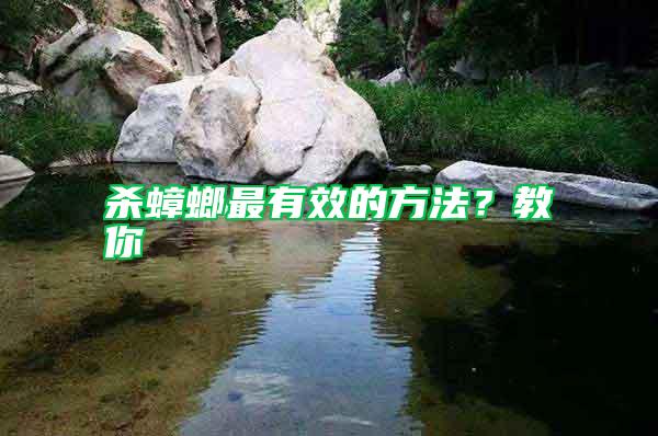 殺蟑螂最有效的方法？教你