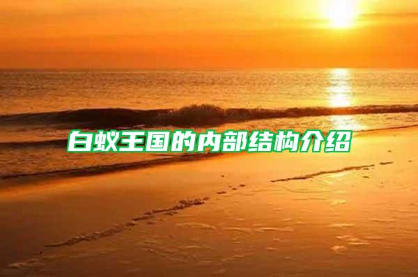 白蟻王國(guó)的內(nèi)部結(jié)構(gòu)介紹