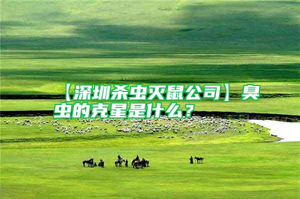 【深圳殺蟲(chóng)滅鼠公司】臭蟲(chóng)的克星是什么？