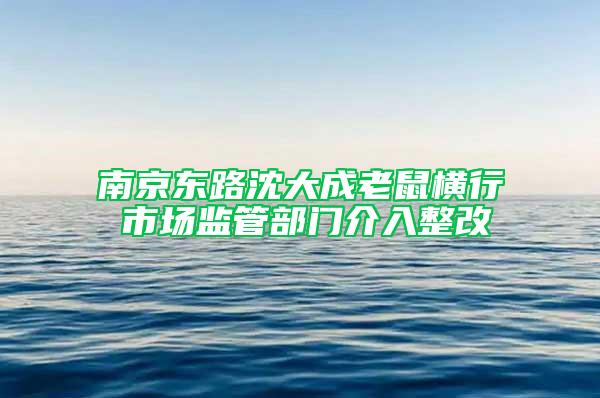 南京東路沈大成老鼠橫行 市場(chǎng)監(jiān)管部門(mén)介入整改