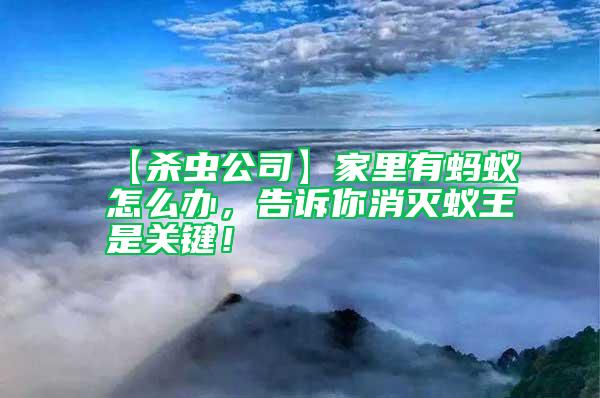 【殺蟲(chóng)公司】家里有螞蟻怎么辦，告訴你消滅蟻王是關(guān)鍵！