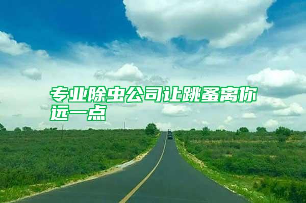 專(zhuān)業(yè)除蟲(chóng)公司讓跳蚤離你遠(yuǎn)一點(diǎn)