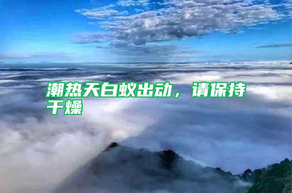 潮熱天白蟻出動，請保持干燥