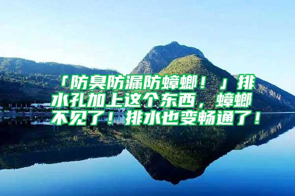 「防臭防漏防蟑螂！」排水孔加上這個(gè)東西，蟑螂不見了！排水也變暢通了！