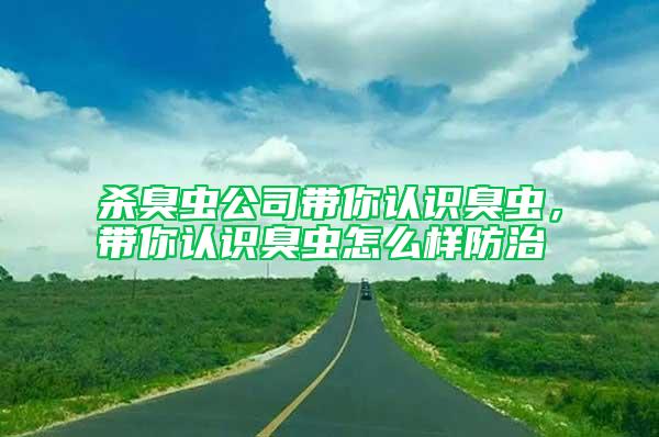 殺臭蟲公司帶你認(rèn)識(shí)臭蟲，帶你認(rèn)識(shí)臭蟲怎么樣防治