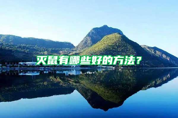 滅鼠有哪些好的方法？