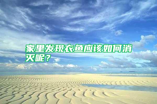 家里發現衣魚應該如何消滅呢？