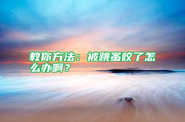 教你方法：被跳蚤咬了怎么辦啊？