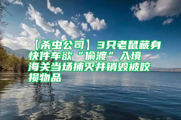 【殺蟲公司】3只老鼠藏身快件車欲“偷渡”入境 海關(guān)當(dāng)場捕滅并銷毀被咬損物品