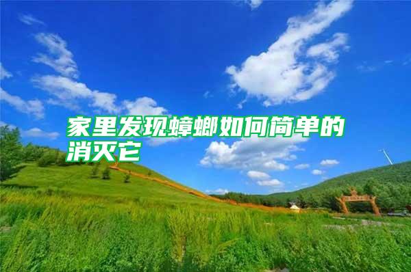 家里發現蟑螂如何簡單的消滅它