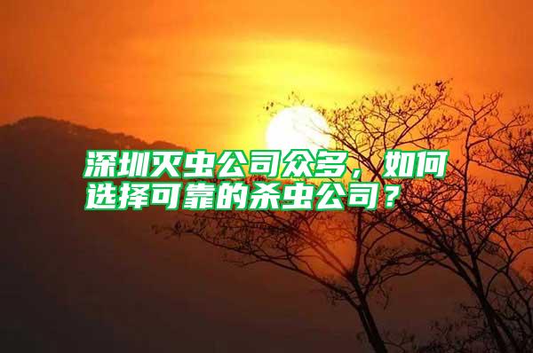 深圳滅蟲公司眾多，如何選擇可靠的殺蟲公司？