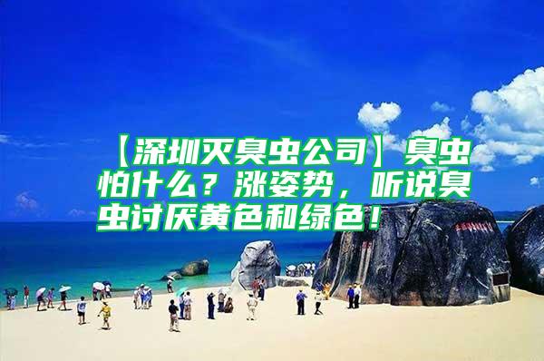 【深圳滅臭蟲公司】臭蟲怕什么？漲姿勢，聽說臭蟲討厭黃色和綠色！