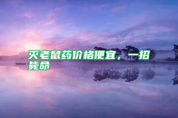 滅老鼠藥價(jià)格便宜，一招斃命