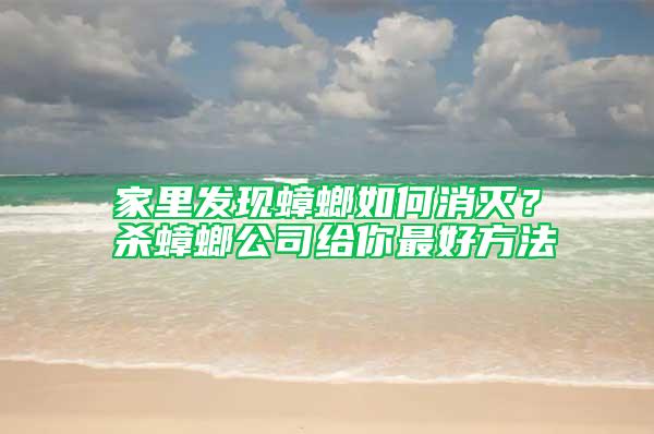 家里發現蟑螂如何消滅？殺蟑螂公司給你最好方法