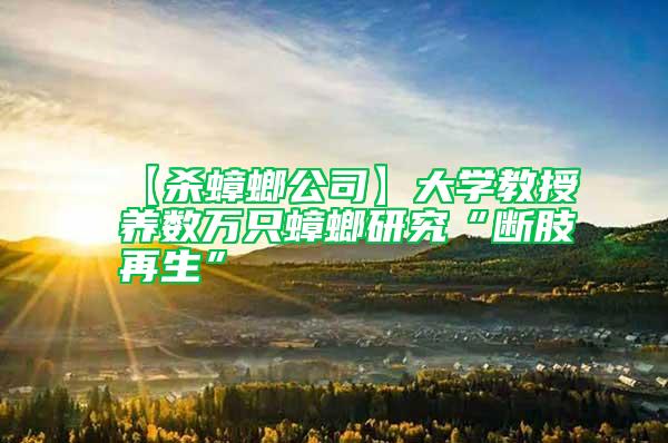 【殺蟑螂公司】大學(xué)教授養(yǎng)數(shù)萬(wàn)只蟑螂研究“斷肢再生”