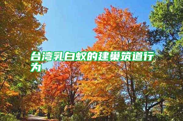 臺(tái)灣乳白蟻的建巢筑道行為