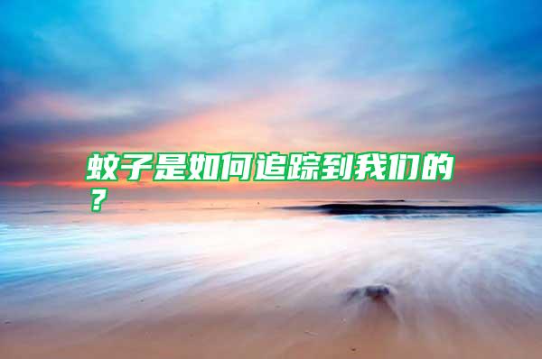 蚊子是如何追蹤到我們的？