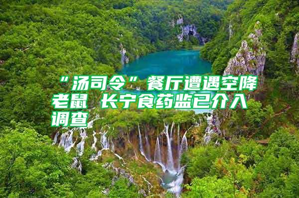 “湯司令”餐廳遭遇空降老鼠 長寧食藥監(jiān)已介入調(diào)查