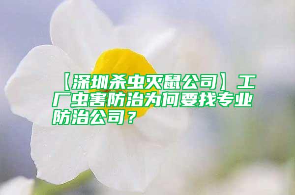 【深圳殺蟲滅鼠公司】工廠蟲害防治為何要找專業防治公司？