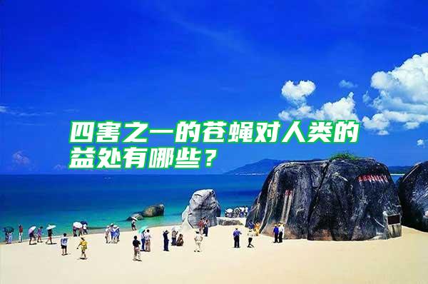 四害之一的蒼蠅對人類的益處有哪些？