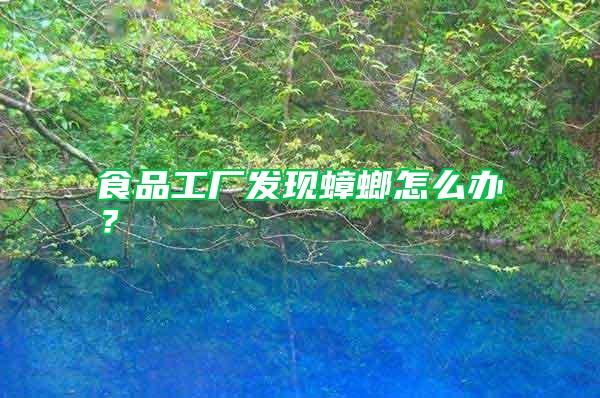 食品工廠發(fā)現蟑螂怎么辦？