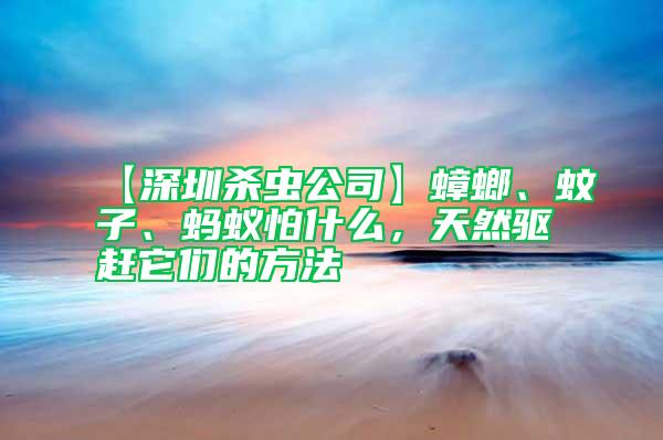 【深圳殺蟲公司】蟑螂、蚊子、螞蟻怕什么，天然驅(qū)趕它們的方法