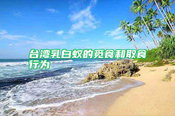 臺(tái)灣乳白蟻的覓食和取食行為