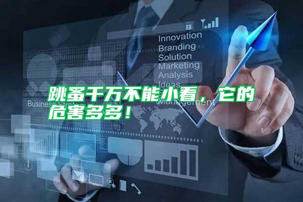 跳蚤千萬不能小看，它的危害多多！