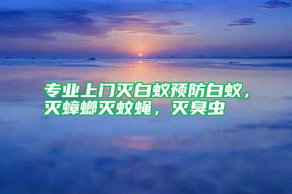 專業(yè)上門滅白蟻預防白蟻，滅蟑螂滅蚊蠅，滅臭蟲