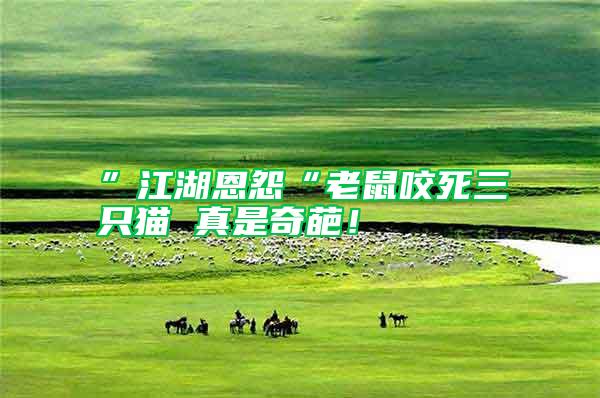 ”江湖恩怨“老鼠咬死三只貓 真是奇葩！
