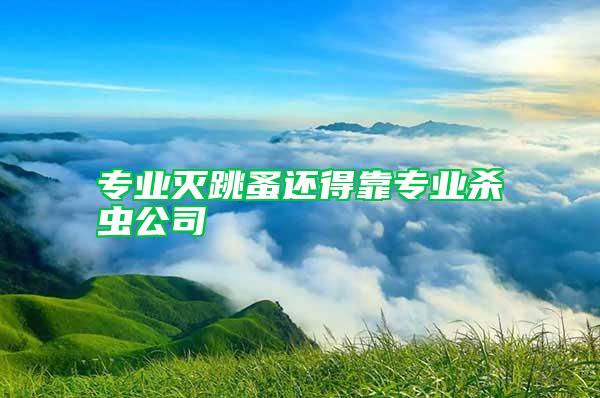 專業(yè)滅跳蚤還得靠專業(yè)殺蟲公司