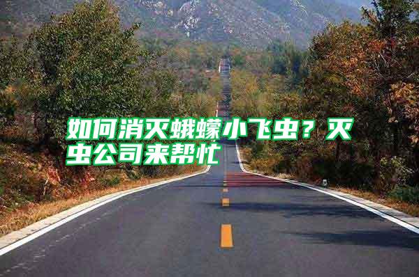 如何消滅蛾蠓小飛蟲？滅蟲公司來幫忙