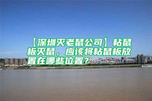 【深圳滅老鼠公司】粘鼠板滅鼠，應該將粘鼠板放置在哪些位置？