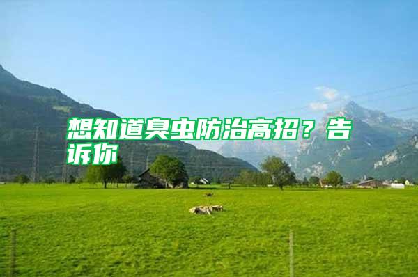 想知道臭蟲防治高招？告訴你