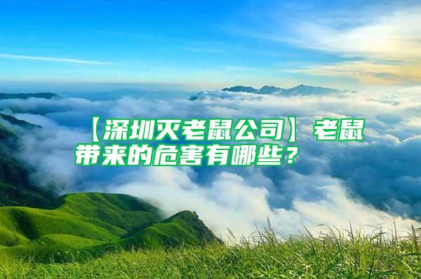 【深圳滅老鼠公司】老鼠帶來的危害有哪些？