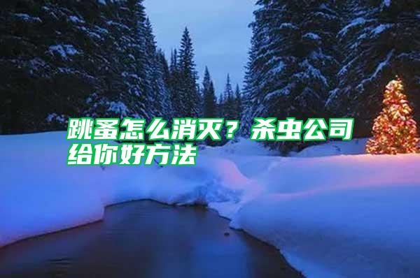 跳蚤怎么消滅？殺蟲公司給你好方法
