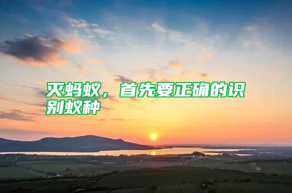 滅螞蟻，首先要正確的識(shí)別蟻種