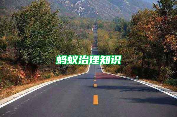 螞蟻治理知識(shí)