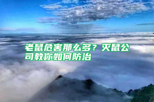 老鼠危害那么多？滅鼠公司教你如何防治