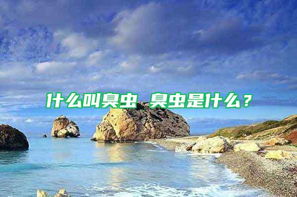什么叫臭蟲 臭蟲是什么？