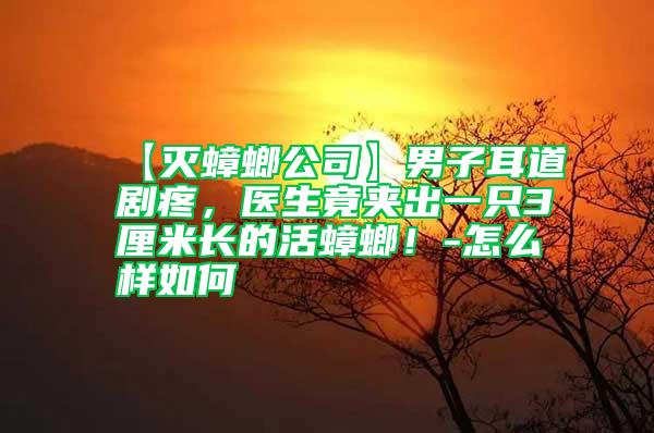【滅蟑螂公司】男子耳道劇疼，醫(yī)生竟夾出一只3厘米長(zhǎng)的活蟑螂！-怎么樣如何