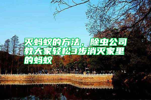 滅螞蟻的方法，除蟲公司教大家輕松3步消滅家里的螞蟻