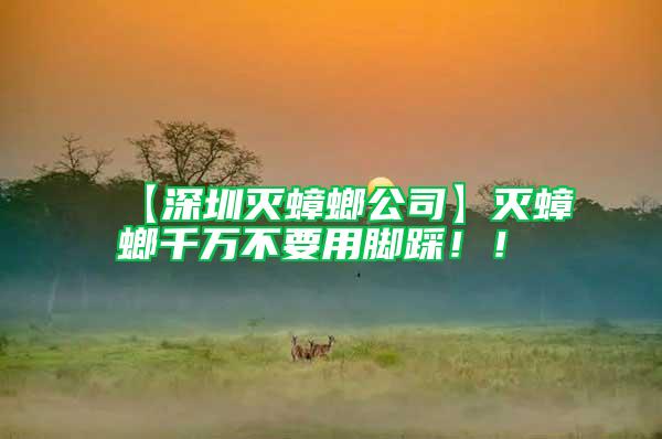 【深圳滅蟑螂公司】滅蟑螂千萬不要用腳踩！！